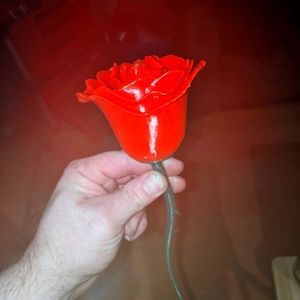 Decorative faux plant genitalia to please your significant other.